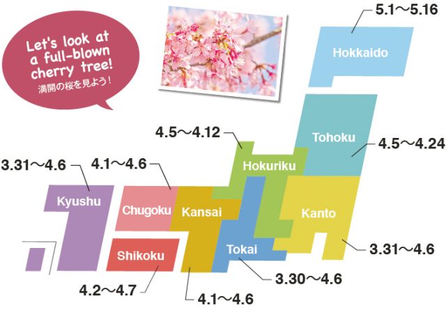 gazo_HANAMI-04