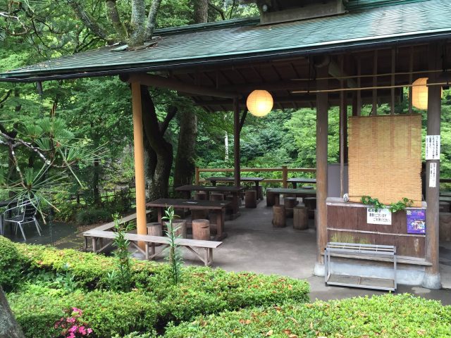 sake9